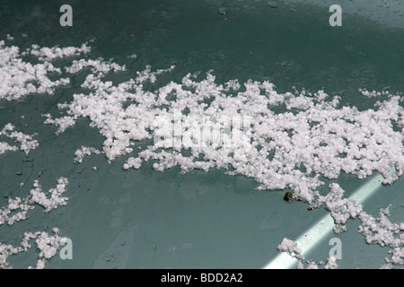 Hail stones on car close up England , UK Stock Photo