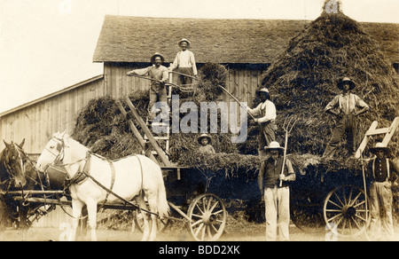 Farmers at Barn Pitching Hay onto Haystacks Stock Photo