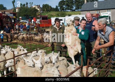 Priddy Sheep Fair Somerset Uk Auctioneer in green smock with a group of sheep farmers 2009 2000s HOMER SYKES Stock Photo