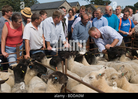 sheep farmer on exmoor somerset uk riding quad bike, old