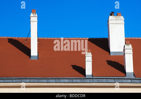 roof with chimneys Stock Photo
