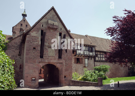 Riquewihr, Alsace, Haut-Rhin, France, Europe. Drawbridge and portcullis tower arch in fortified medieval town walls Stock Photo