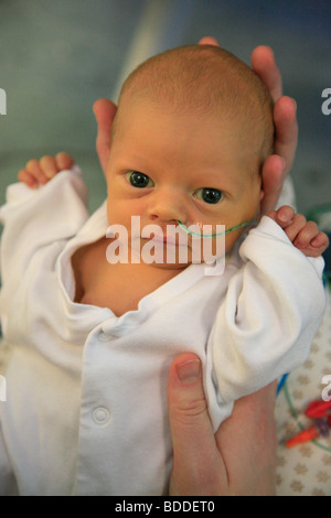 A five day old newborn child is lifted out of an incubator by his mum. Model released Stock Photo