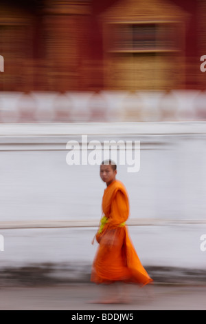 monks walking the street at dawn to collect gifts of food, Luang Prabang, Laos Stock Photo