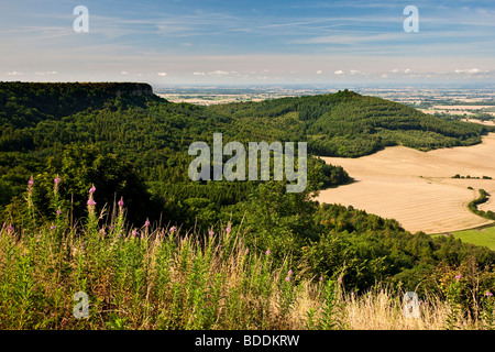 The Vale of York from Sutton Bank, North York Moors National Park Stock Photo