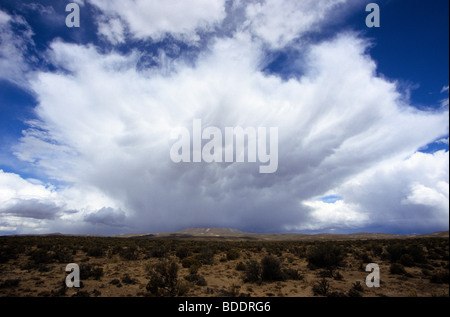 A brewing thunderhead towers menacingly over the remote plains of Patagonia in Argentina 2005 Stock Photo