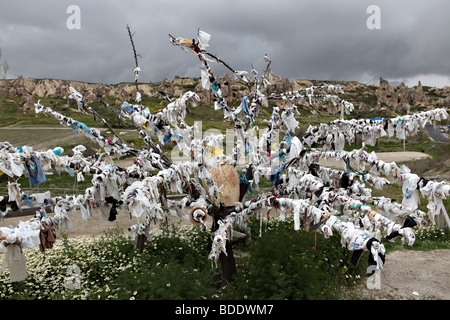 A snapshot of the so-called Wish Tree in the land of  Cappadocia, Turkey. Stock Photo