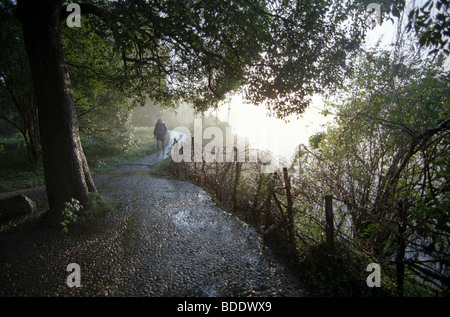 Walkway on the cliff edge opposite Victoria Falls, covered in spray from the waterfall. Zimbabwe. Stock Photo