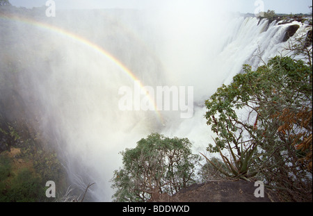 Victoria Falls, Zambia. Stock Photo