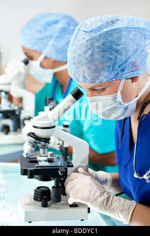 Two female medical or scientific researchers or doctors, one Asian one European, using microscopes in a laboratory. Stock Photo