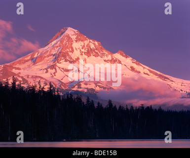 Afterglow turns Mount Hood 11,249feet (3,429m) pink, seen from Lost Lake, Mount Hood National Forest Oregon USA Stock Photo