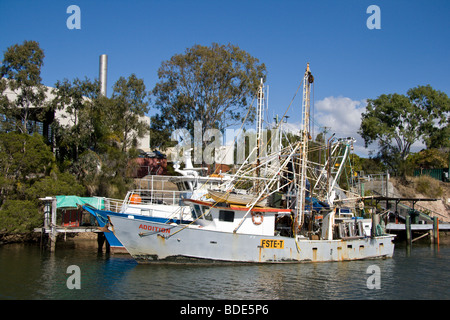Fishing boats on the Burnett River, Bundaberg, Queensland, Australia Stock Photo: 25512694 - Alamy