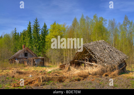 Ruins of old wooden house Stock Photo