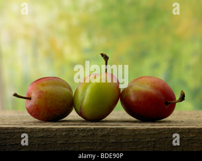 fresh plums Stock Photo