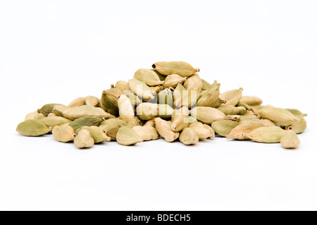 Dried green cardamom pods on white background Stock Photo