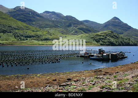 Loch Leven near the village of Glencoe in the Highlands of Scotland, with the Pap of Glencoe in the distance Stock Photo