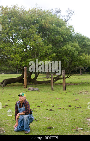 Portrait of senior man in overalls kneeling in green field Stock Photo