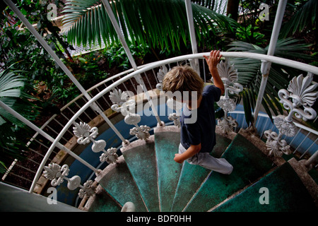 A boy decending the stairs in the Palm House, Kew Gardens in London Stock Photo