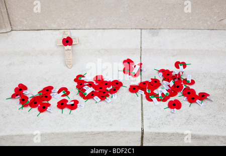 RSA New Zealand poppies at Tyne Cot WW1 Commonwealth military cemetery Passchendaele Flanders Belgium Europe Stock Photo