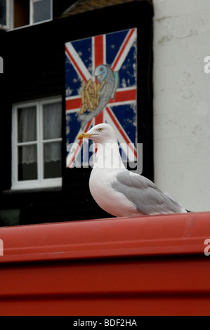 A seagull stands in front of a fish & chip shop sign along the seafront of Hastings. East Sussex. England UK Stock Photo