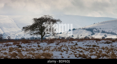 Pen y Fan & Corn Du mountains from Mynydd Illtyd Common Brecon Beacons Powys Wales Stock Photo