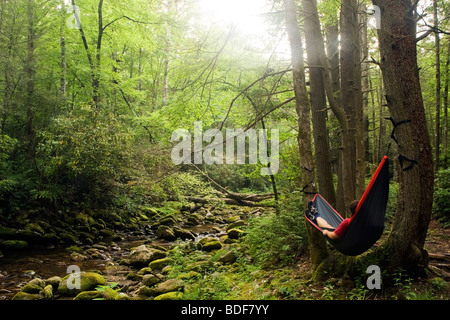 Man in hammock by river - Pisgah National Forest, near Brevard, North Carolina Stock Photo