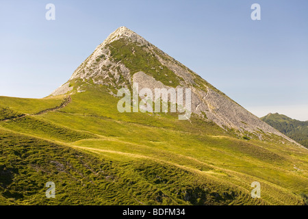 The 'Puy Griou' (5,556 ft above the sea level) Cantal - Auvergne - France. Le Puy Griou (Cantal 15 - Auvergne - France). Stock Photo