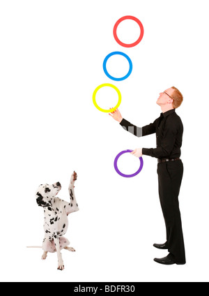 Dalmatian (Canis lupus f. familiaris), standing excited beside an man juggling with a rings, trying to give the paw Stock Photo