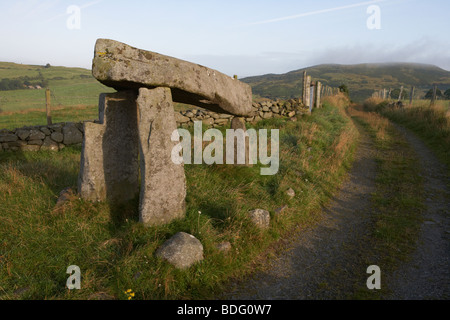 Legananny dolmen portal tomb ancient historic monument beside farmers laneway county down northern ireland uk Stock Photo