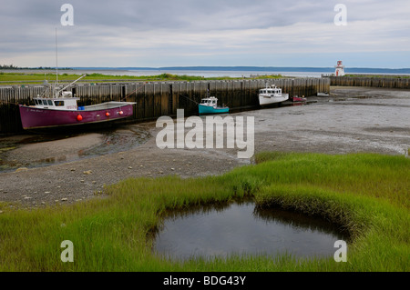 Belliveau Cove Lighthouse at low tide on the Bay of Fundy Nova Scotia Stock Photo
