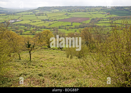 Looking west across the rolling east Devon countryside from Dumpdon Hill, near Honiton Stock Photo