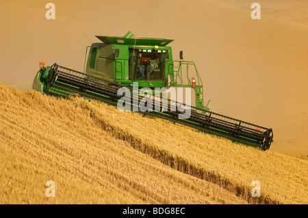 A John Deere combine harvests Soft White wheat on rolling hillside terrain / Palouse Region, near Pullman, Washington, USA. Stock Photo