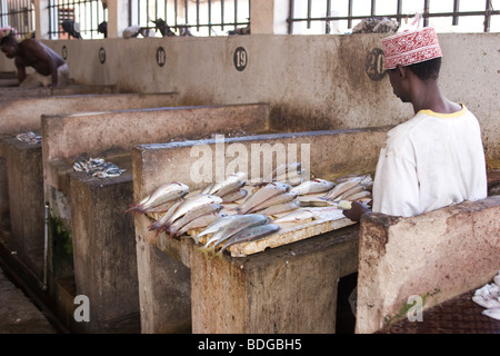 The main fish market in Stone Town. Zanzibar. Stock Photo