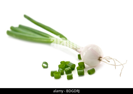 green onion isolated on white Stock Photo