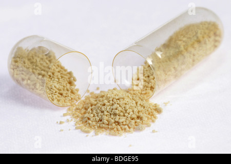 BEER YEAST Stock Photo