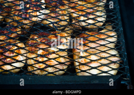 Barbequed chicken at family picnic Stock Photo