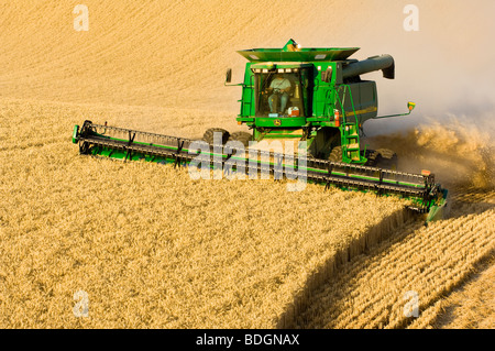 A John Deere combine harvests Soft White wheat on rolling hillside terrain / Palouse Region, near Pullman, Washington, USA. Stock Photo