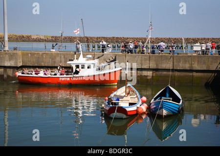 puffin island boat trips northumberland