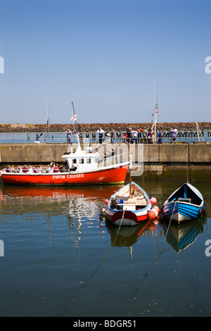 puffin island boat trips northumberland