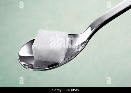 Spoon with a piece sugar cube before a lightgreen background Stock Photo