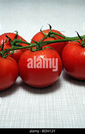 Five bush tomatoes with water drops on kitchen desk top Stock Photo