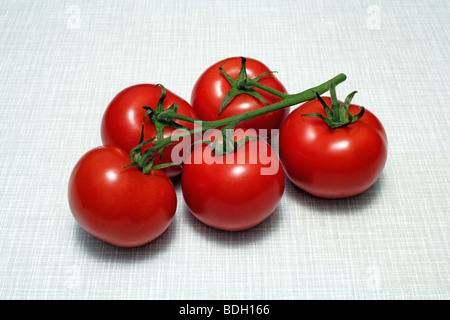 Five bush tomatoes on kitchen desk top Stock Photo