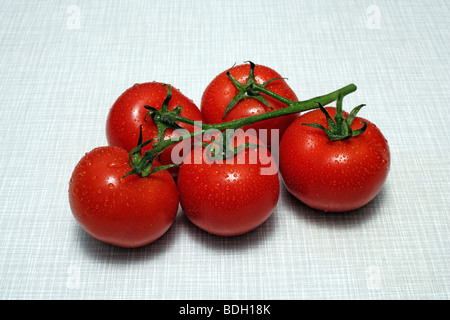 Five bush tomatoes with water drops on kitchen desk top Stock Photo