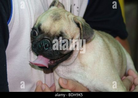 hot dog in Bangkok Thailand Stock Photo