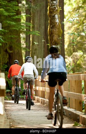 Three mountain bikers riding across a wooden bridge in a forest. Stock Photo