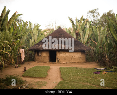 A mud hut with conical thatch roof in a clearing surrounded by banana trees. Stock Photo