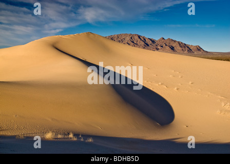 Cadiz Dunes at sunset, Ship Mountains, Mojave Trails National Monument, Mojave Desert, California, USA Stock Photo