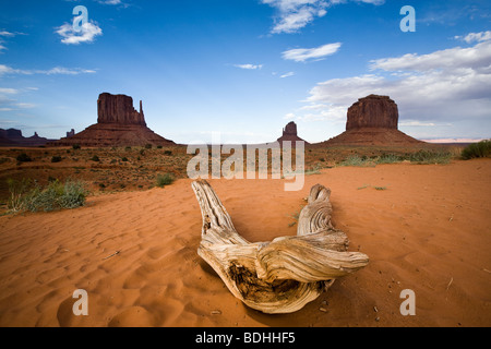 Landscape in Monument Valley Stock Photo