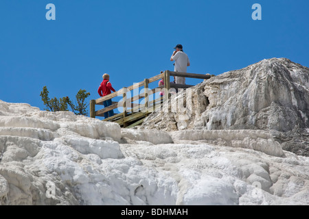 Travertine Terraces in Lower Terraces area at Mammoth Hot Springs in Yellowstone National Park Wyoming USA Stock Photo