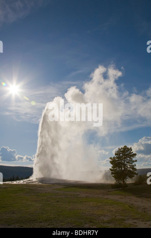 Old Faithful Geyser erupting in Upper Geyser Basin in Yellowstone National Park Wyoming USA Stock Photo